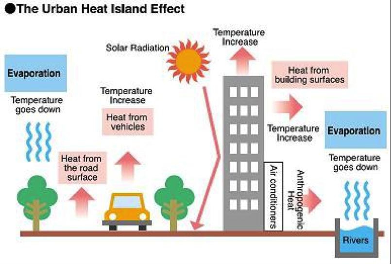 heat island effect